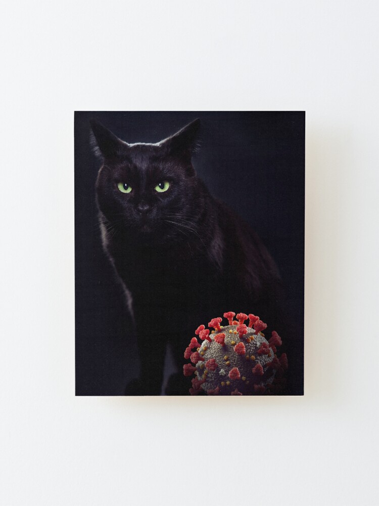 Impression Montee Chat Noir Avec Coronavirus Covid 19 Jouet Covid Humour Blague Drole T Shirt Impression Artistique Par Artnudephotos Redbubble