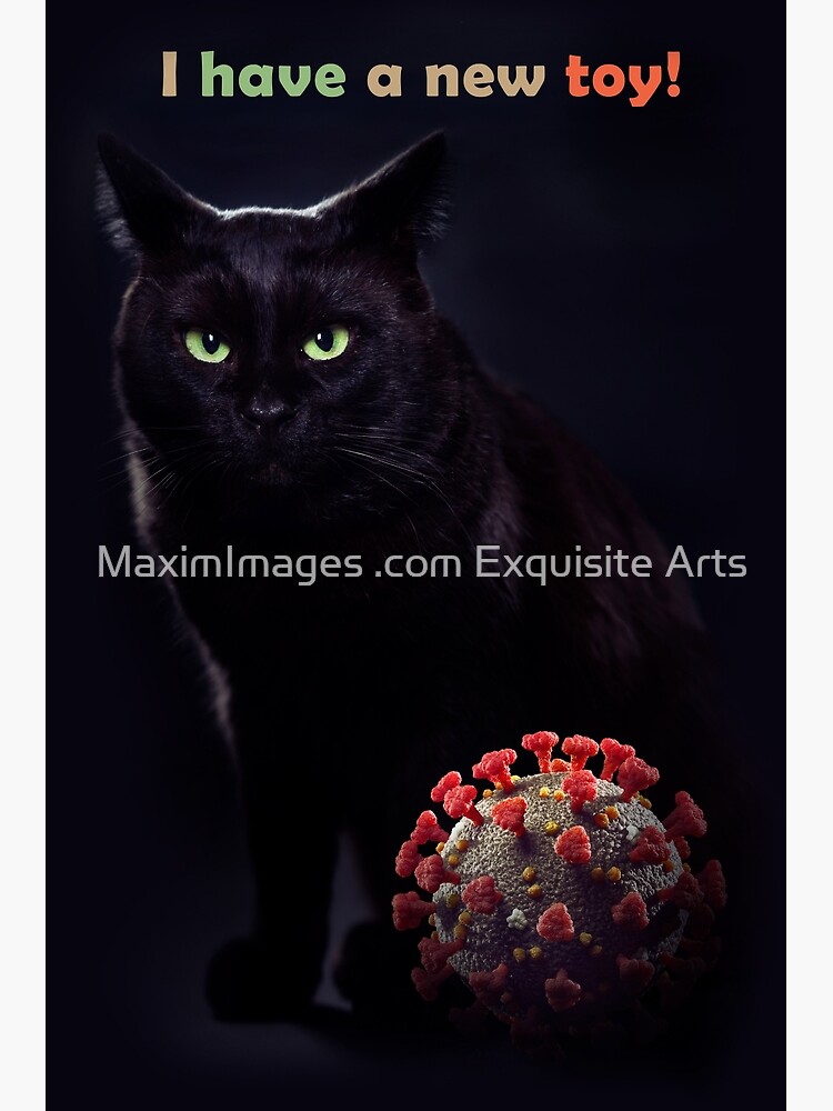 Carte Postale Chat Noir Avec Coronavirus Covid 19 Jouet Covid Humour Blague Drole T Shirt Impression Artistique Par Artnudephotos Redbubble