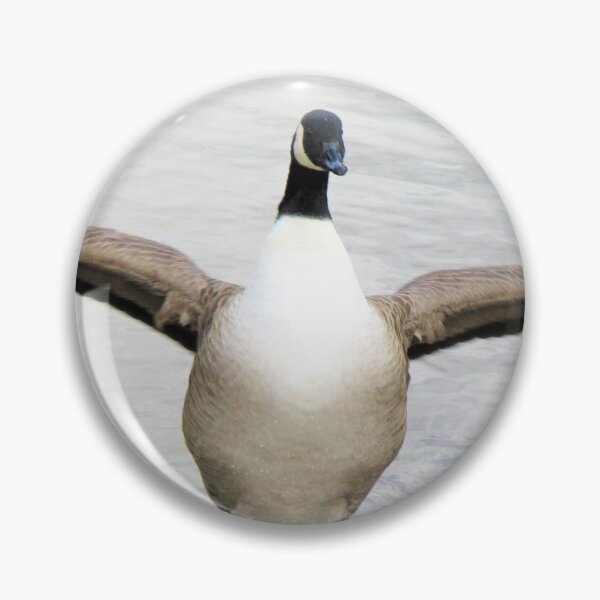 Item preview, Flapping Canada Goose designed and sold by realdorypanda.