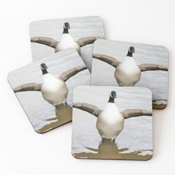 Item preview, Flapping Canada Goose designed and sold by realdorypanda.