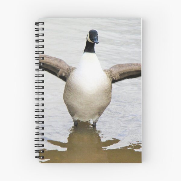 Item preview, Flapping Canada Goose designed and sold by realdorypanda.