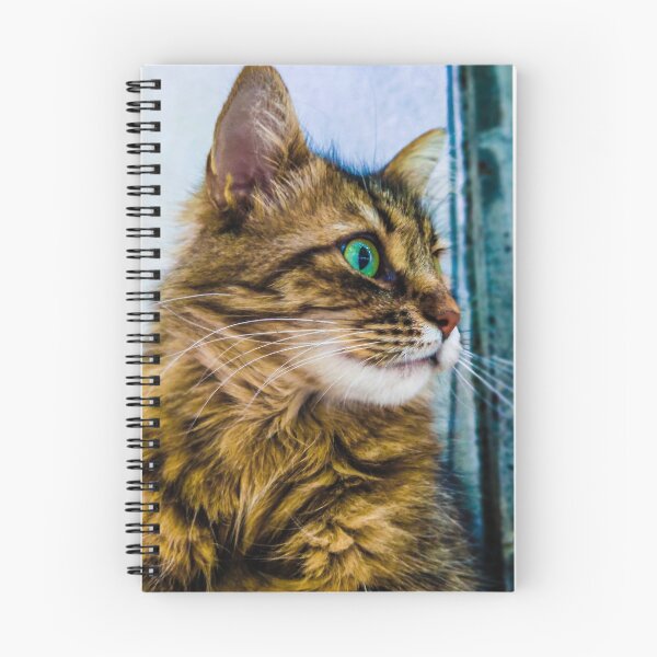 Aperçu de l'œuvre Chat créée et vendue par borislava03.