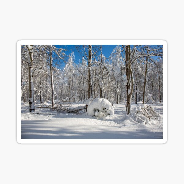 Smile of a snowy forest Sticker