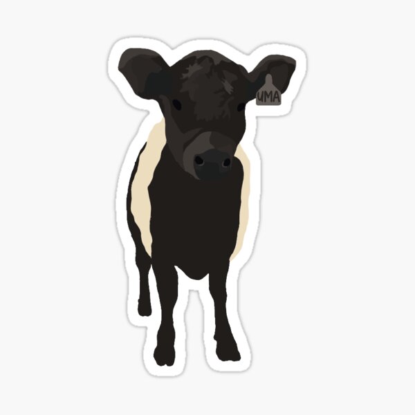 Item preview, Beltie Calf designed and sold by eliseoleary.