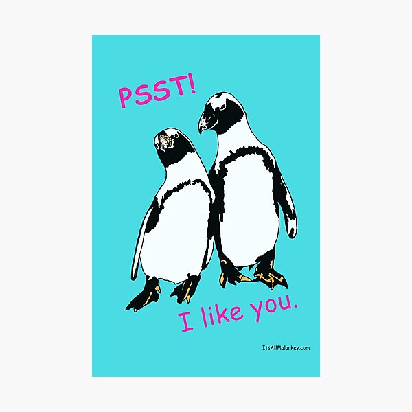 Psst! Photographic Print