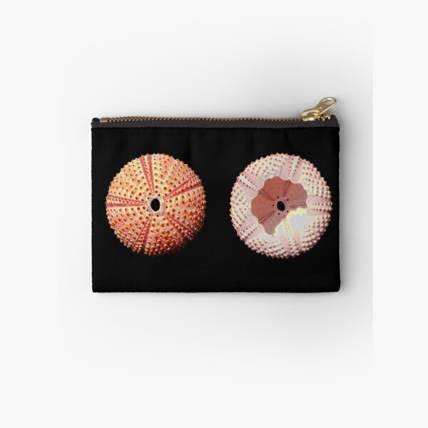 Item preview, SKALA SKAMNIAS LESBOS SEA-URCHIN designed and sold by joancaronil.