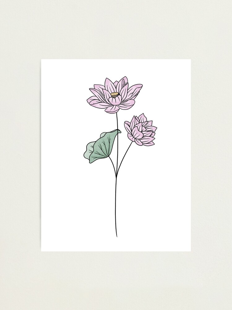 "July Birth Month Flower Lotus Color" Photographic Print for Sale