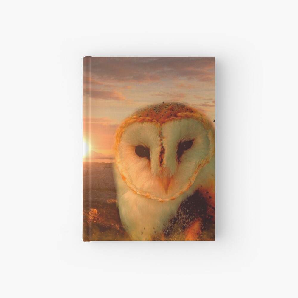 Eulenseele Notizbuch