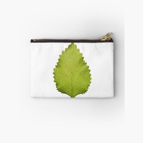 Item preview, Cuban Oregano... that's all. designed and sold by PivotYourMind.