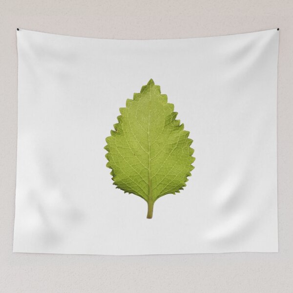 Item preview, Cuban Oregano... that's all. designed and sold by PivotYourMind.