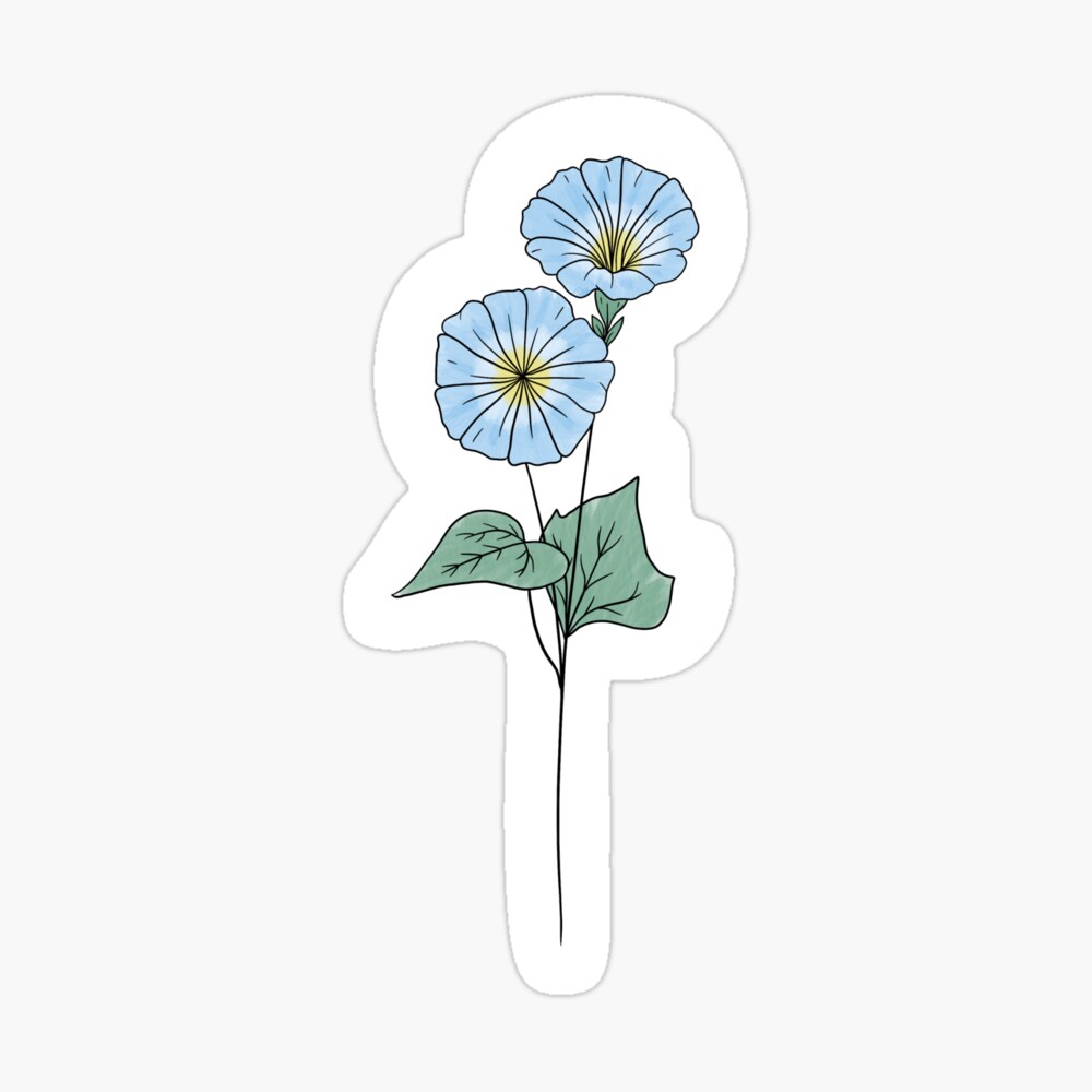 Copy Of September Birth Month Flower Morning Glory Color Greeting Card By Ekwdesigns Redbubble