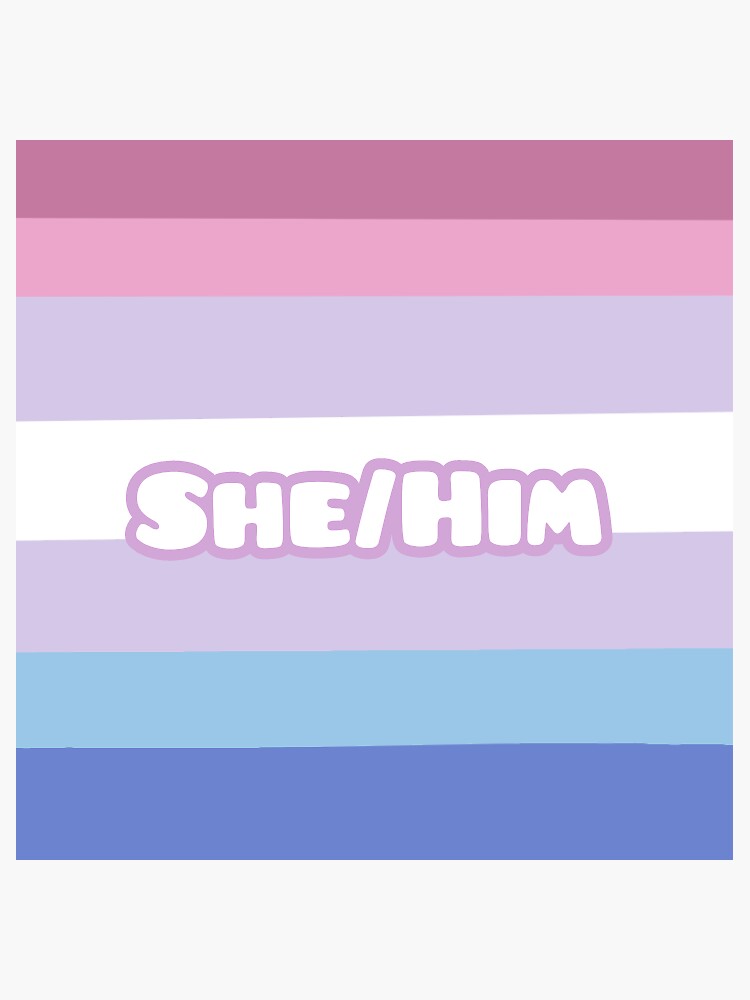 Bigender Pride Shehim Pronouns Flag Sticker For Sale By Tridesignart Redbubble 7281