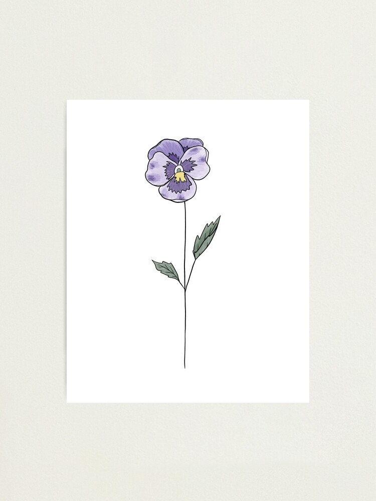 Impression photo « Fleur de mois de naissance de février | Violet | Couleur  », par ekwdesigns | Redbubble