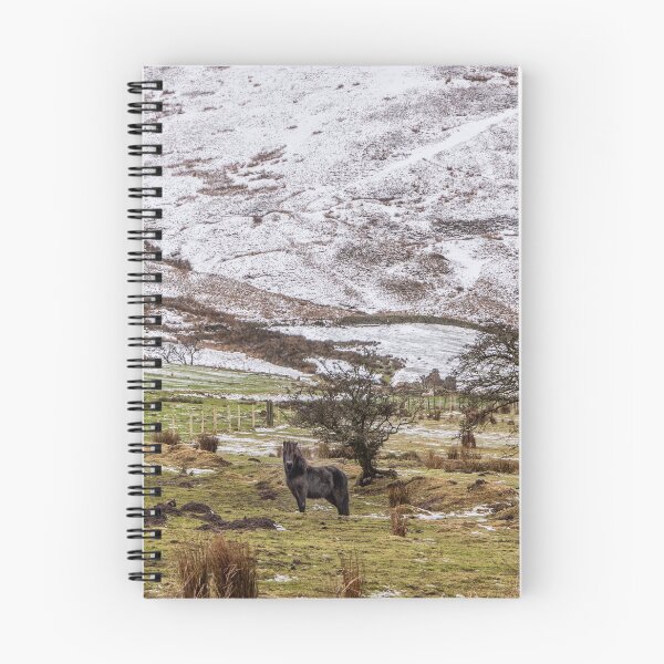 Item preview, Derbyshire Ponies on the Moors designed and sold by elane123.