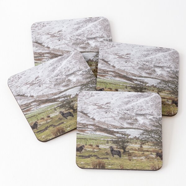 Item preview, Derbyshire Ponies on the Moors designed and sold by elane123.