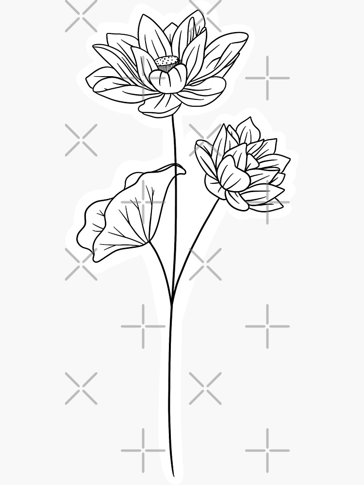 "July Birth Month Flower Lotus B/W" Sticker for Sale by ekwdesigns