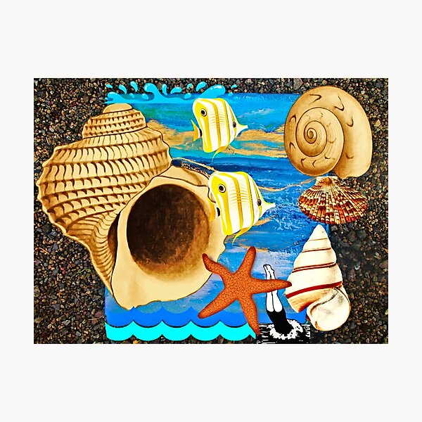 Item preview, Shoreline sea shells designed and sold by Aquila Light Pictures.