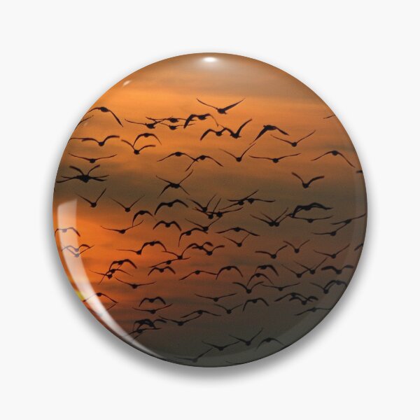 Item preview, Geese in a Norfolk Sunset. designed and sold by Billlee.