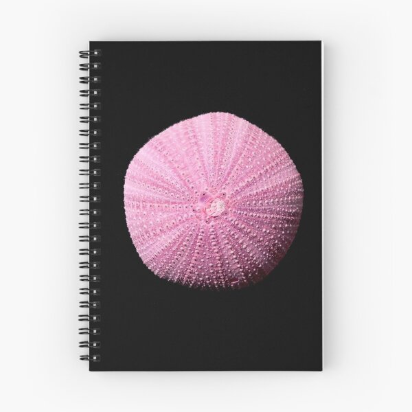 Item preview, SIGRI LESBOS SEA-URCHIN designed and sold by joancaronil.