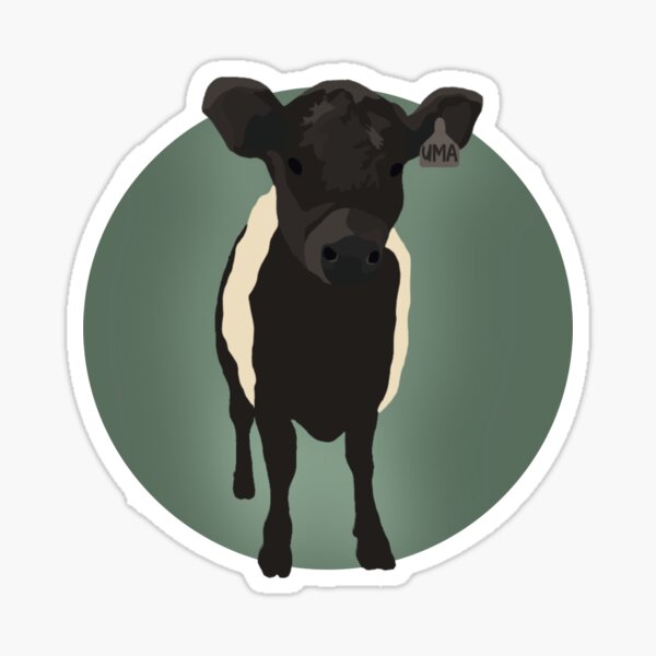 Item preview, beltie calf designed and sold by eliseoleary.
