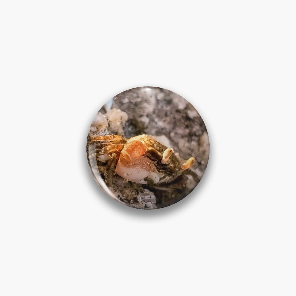 Item preview, Pin designed and sold by Racsontos.