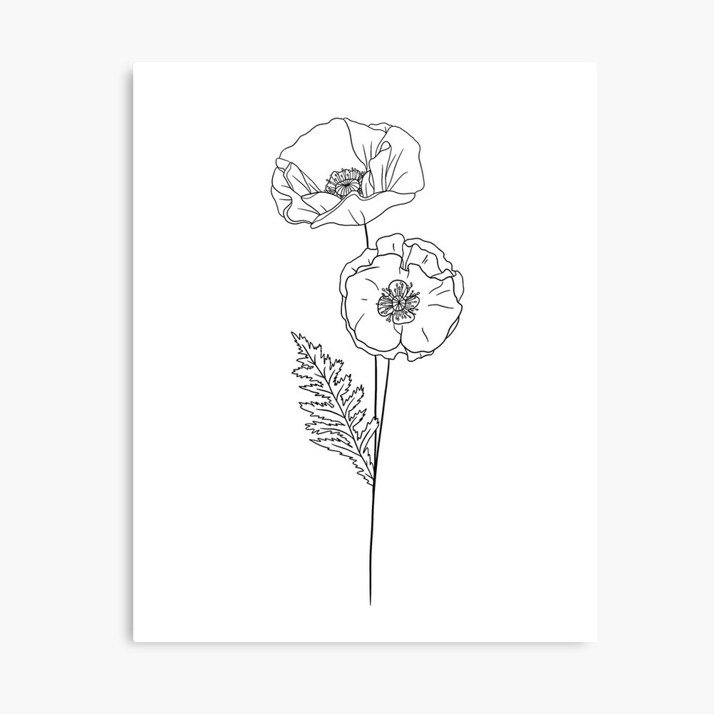 August Birth Month Flower | Poppy | BW Journal for Sale by ekwdesigns |  Redbubble