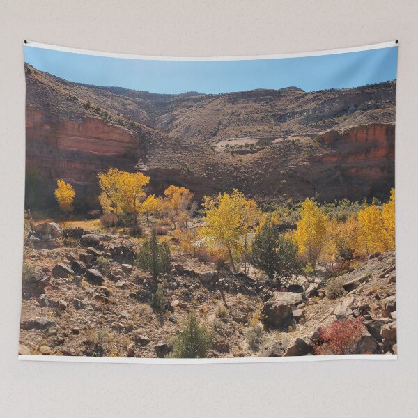 Item preview, Fall in Escalante Canyon - Fall in Colorado designed and sold by Questforit.