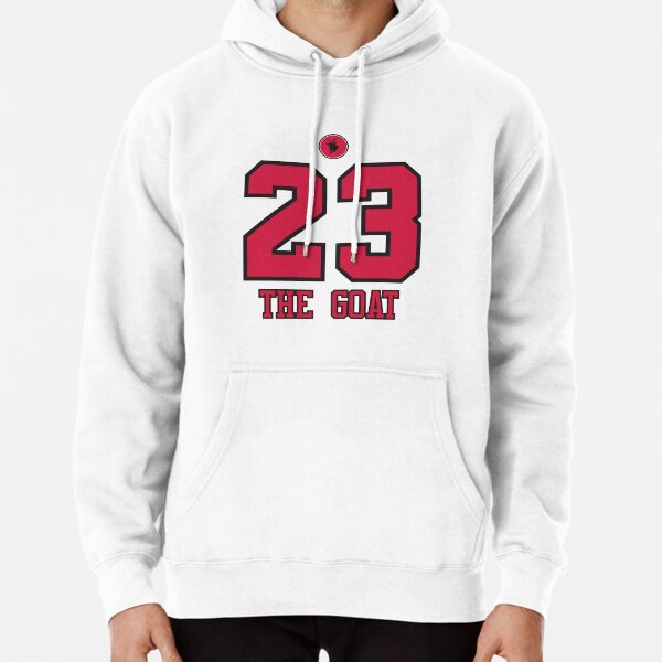 jordan 23 engineered hoodie white