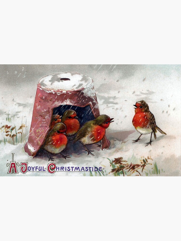 Robin Vintage Art | Greeting Card Robin Vintage Art | Greeting Card
