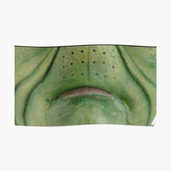The Grinch sad frown face Poster