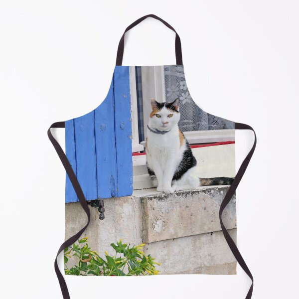 Item preview, 2503/ 9 Marais Poitevin " love Coulon " La Chatte aux Volets Bleu " 2020 par Okaio Créations - Olavia&Olao avec mon fz 2000 designed and sold by o.okaïo.