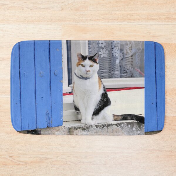 Item preview, 2503/ 9 Marais Poitevin " love Coulon " La Chatte aux Volets Bleu "  2020 par Okaio Créations - Olavia&Olao avec mon fz 2000 designed and sold by o.okaïo.