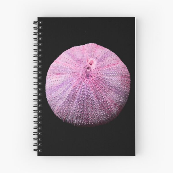 Item preview, BARIA LESBOS SEA-URCHIN designed and sold by joancaronil.
