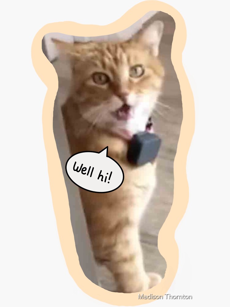 ""Well Hi" Southern Cat from Tiktok" Sticker for Sale by stickerthorn