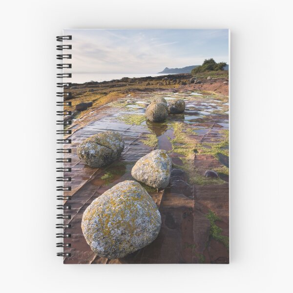 Item preview, Pirate's Cove Erratics designed and sold by ccullen222.