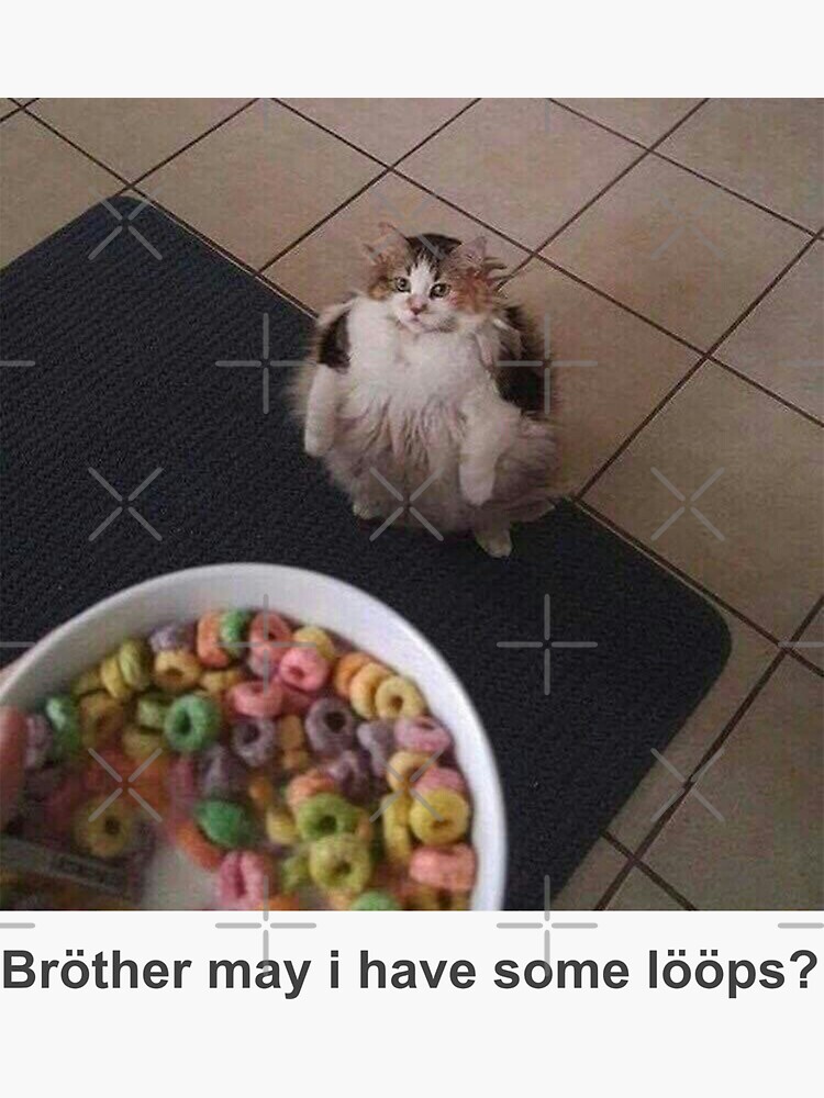 May I Have Some Loops Brother? Cute Kitty T-Shirt May I Have Some Loops Brother? Cute Kitty T-Shirt