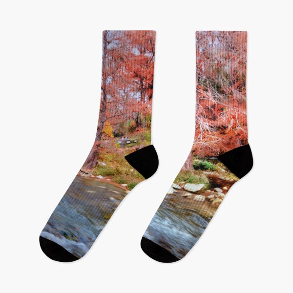 Item preview, Cypress Along the Guadalupe designed and sold by Savannah Gibbs.