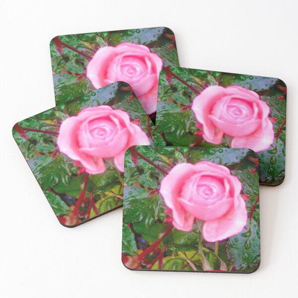 Item preview, Pink Rose in the rain designed and sold by Shulie1.