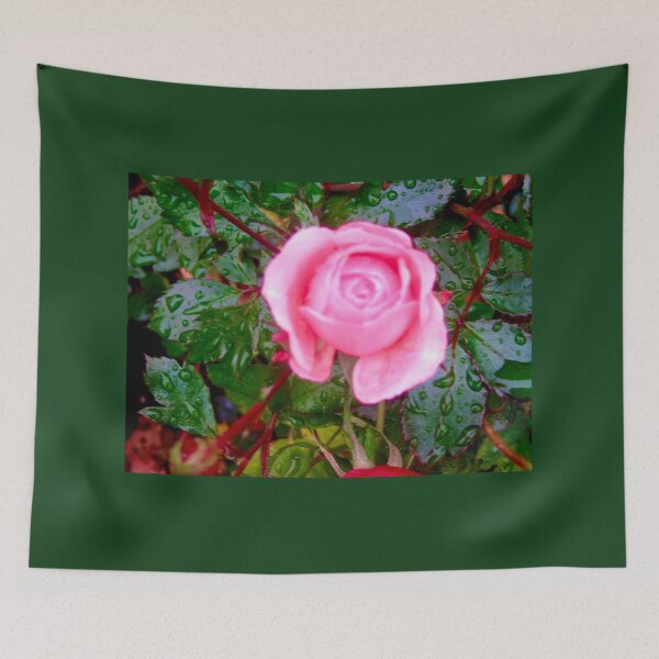 Item preview, Pink Rose in the rain designed and sold by Shulie1.