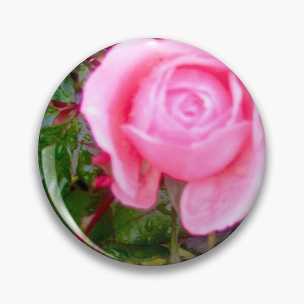 Item preview, Pink Rose in the rain designed and sold by Shulie1.