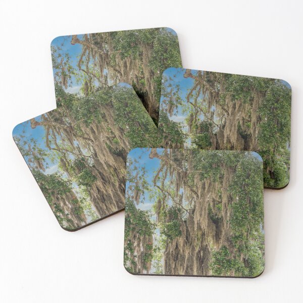 Item preview, Spanish Moss in Oaks designed and sold by dbvirago.