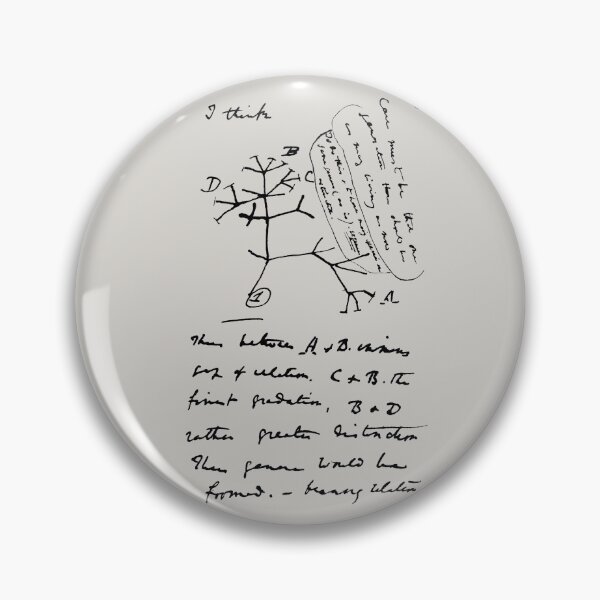 Item preview, Darwin’s Tree Of Life Sketch designed and sold by DotorEaon.