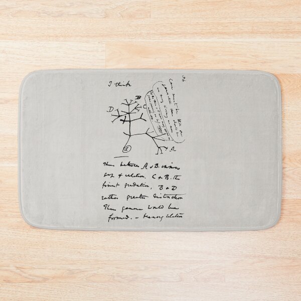 Item preview, Darwin’s Tree Of Life Sketch designed and sold by DotorEaon.