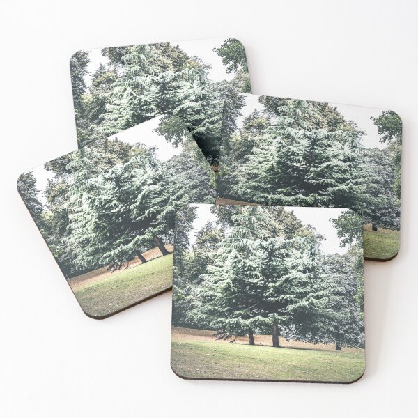 Item preview, Coldtree designed and sold by Olympia Ellinas.