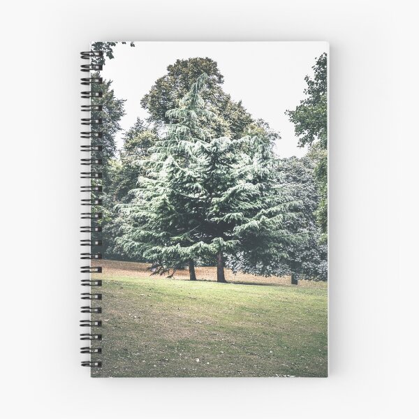 Item preview, Coldtree designed and sold by Olympia Ellinas.