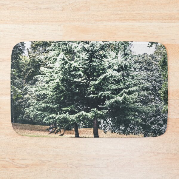 Item preview, Coldtree designed and sold by Olympia Ellinas.