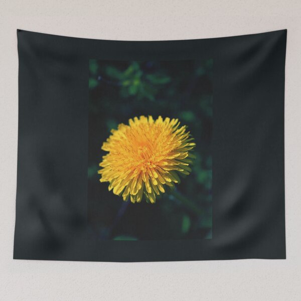 Item preview, Dandelion - photography designed and sold by greatnorris.