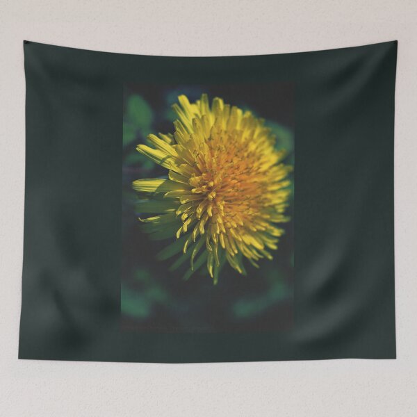 Item preview, Dandelion - photography designed and sold by greatnorris.