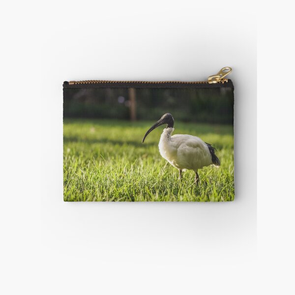 Item preview, Bin Chicken in the Sydney Sunset designed and sold by jessicagoodsell.