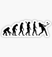 Evolution Softball Sticker